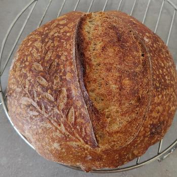 Bob jr. Bread first overview