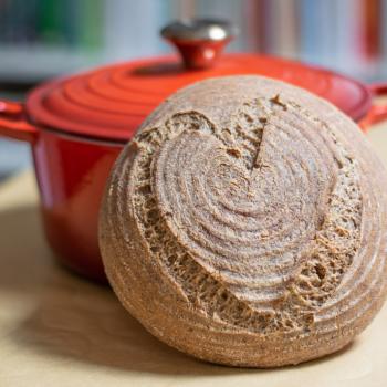 glutenfree teff first overview