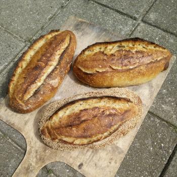 greek yogurt  bread first overview