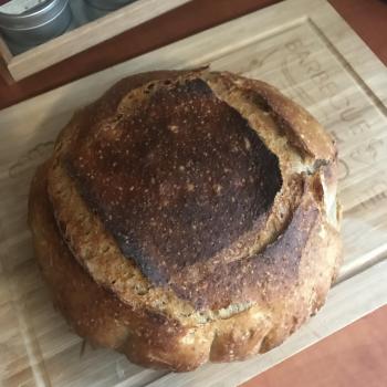 Oatis Sourdough bread first overview