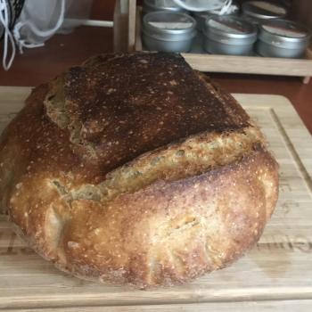 Oatis Sourdough bread second overview