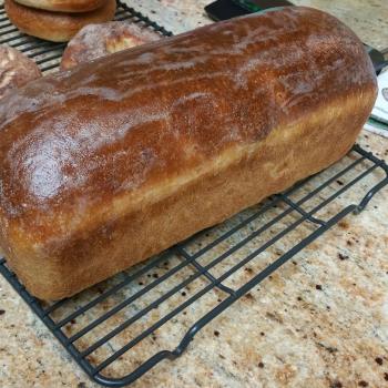 SoCal 100% hydration Bagels and sandwich loaf second overview