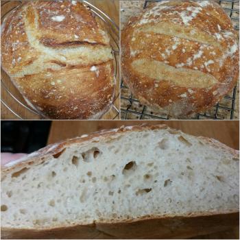 SoCal 100% hydration Bread, Waffles, and Pizza first overview
