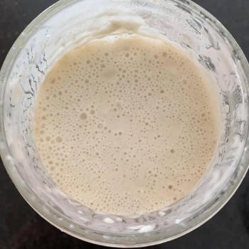 Krakitty Kraken Sourdough  jar shot
