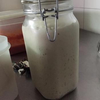 lievito madre (ninnomio) son recipe