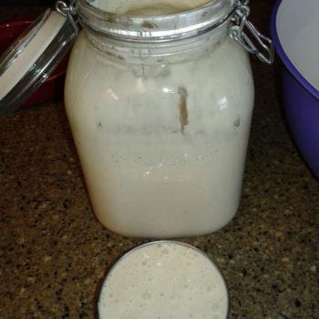 Rocky Mountain Miners Sourdough Starter top shot