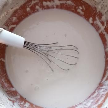 Sourdough Buchwheat Starter top shot